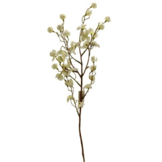 Gałązka ozdobna Senna 75cm mix